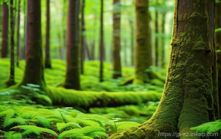 사계절에 따른 야외 마인드풀니스 경험 - **Forest Serenity: Mindful Breathing**
    An individual, dressed in comfortable and modest outdoor ...